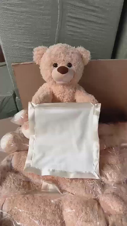 Interactive Peekaboo Teddy Bear – Cute Soft Singing Plush Toy for Babies & Toddlers